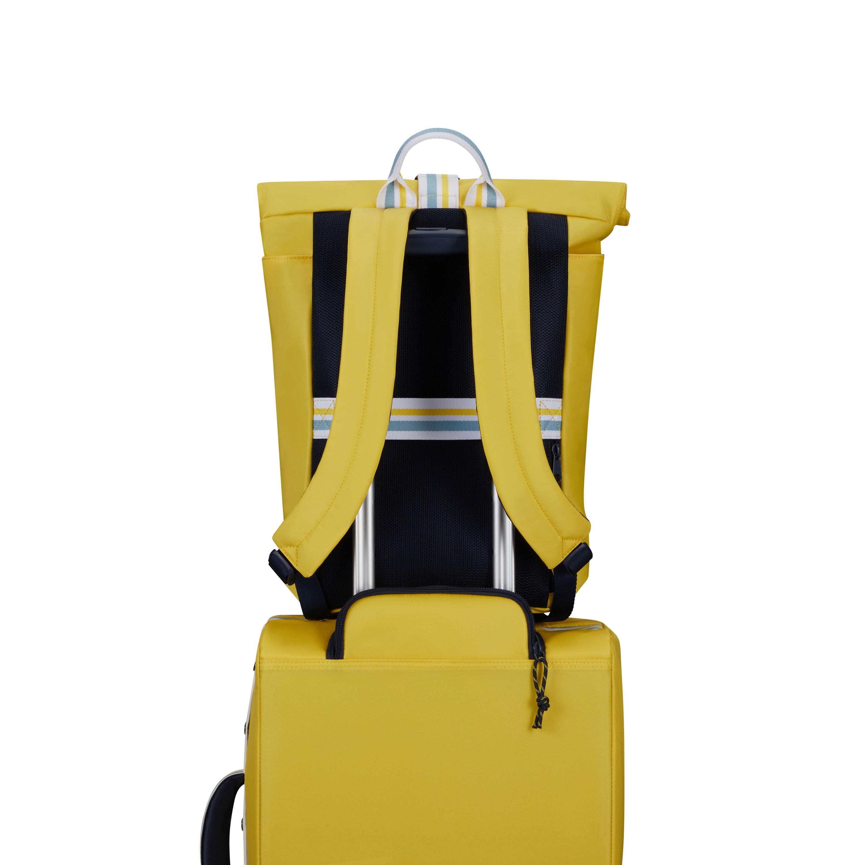 City Plume California Rolltop Backpack in the color Blinding Sun. image number 6