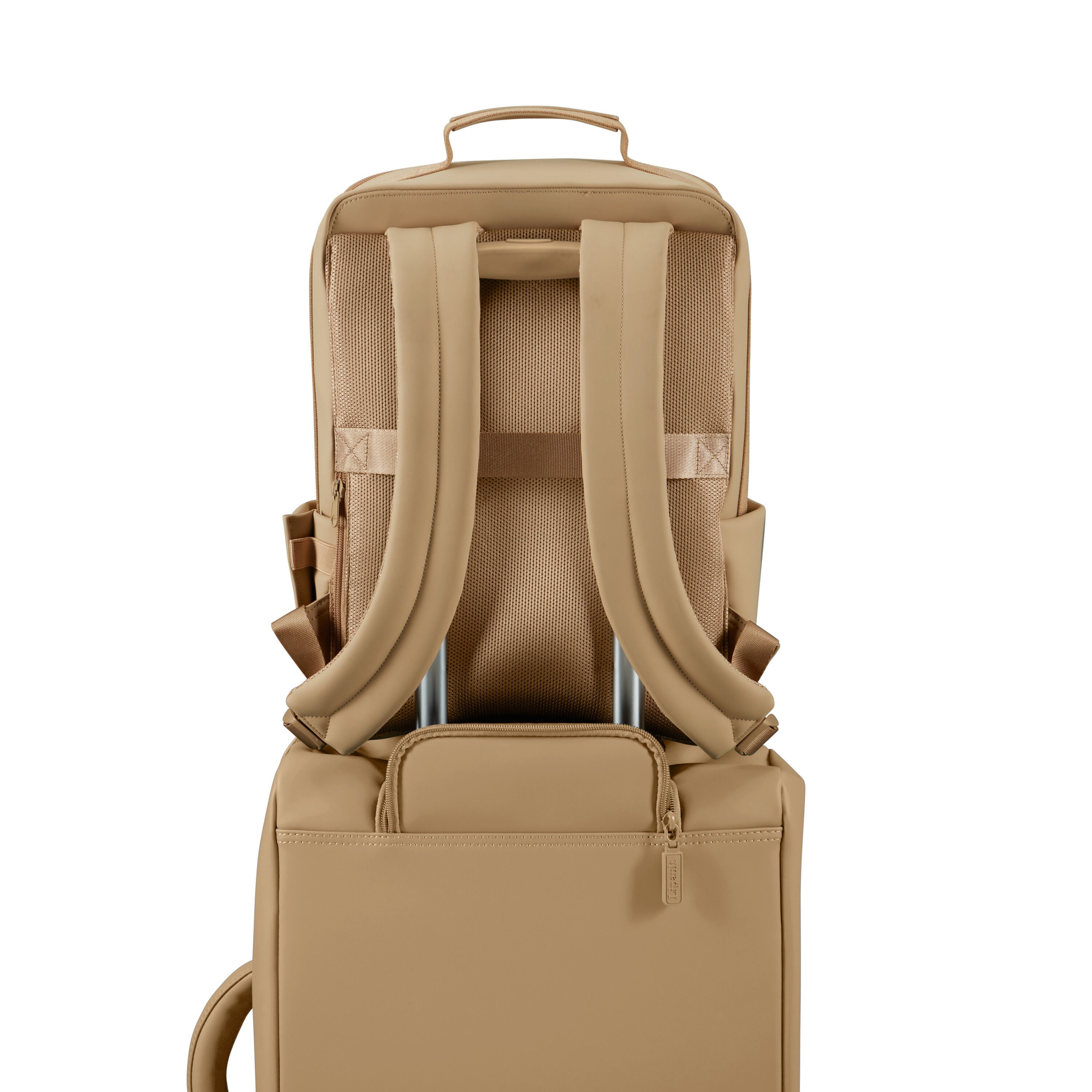 Lost In Berlin Lifetrotter Backpack | Sleek & Chic | Lipault