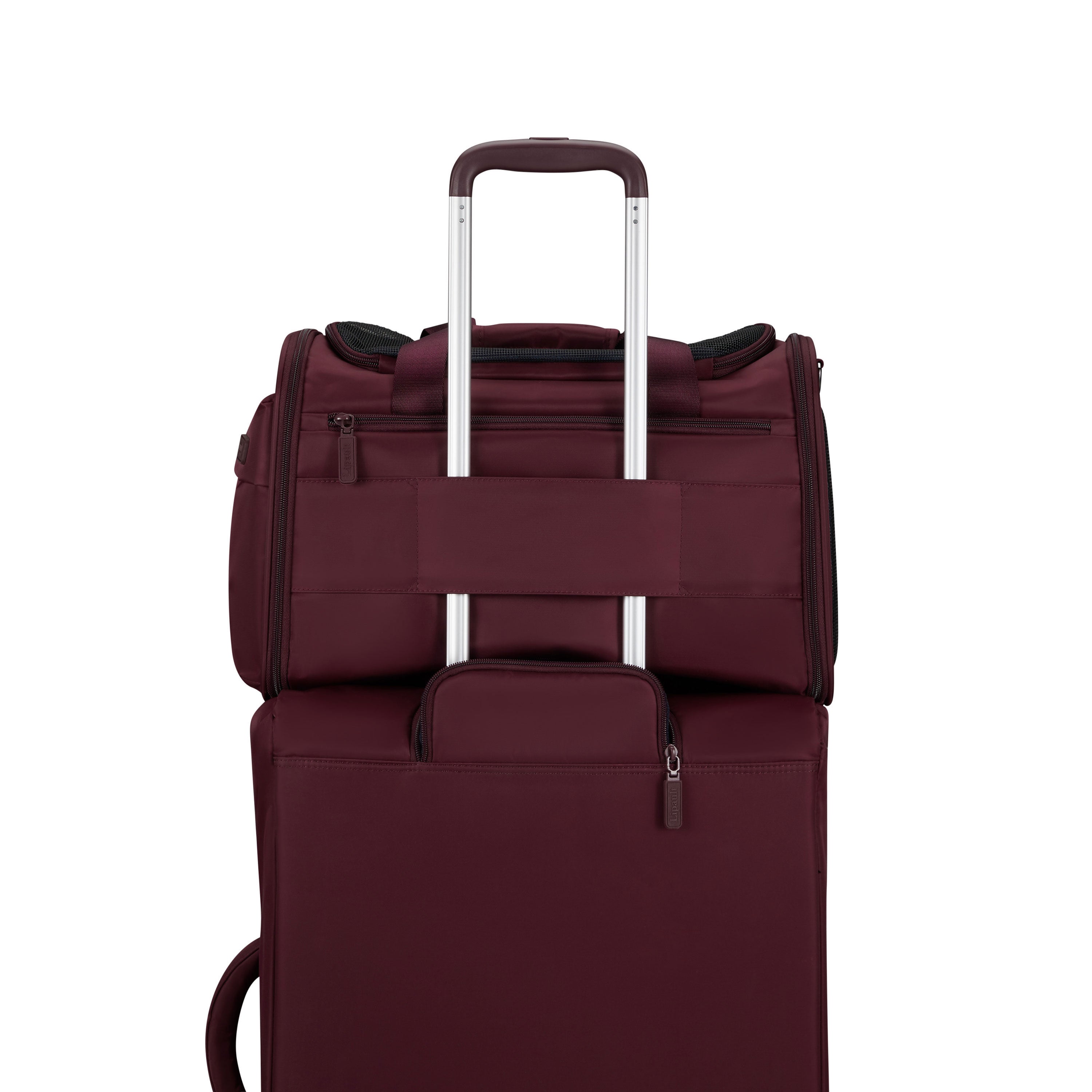 City Plume Pet Carrier in the color Bordeaux. image number 5
